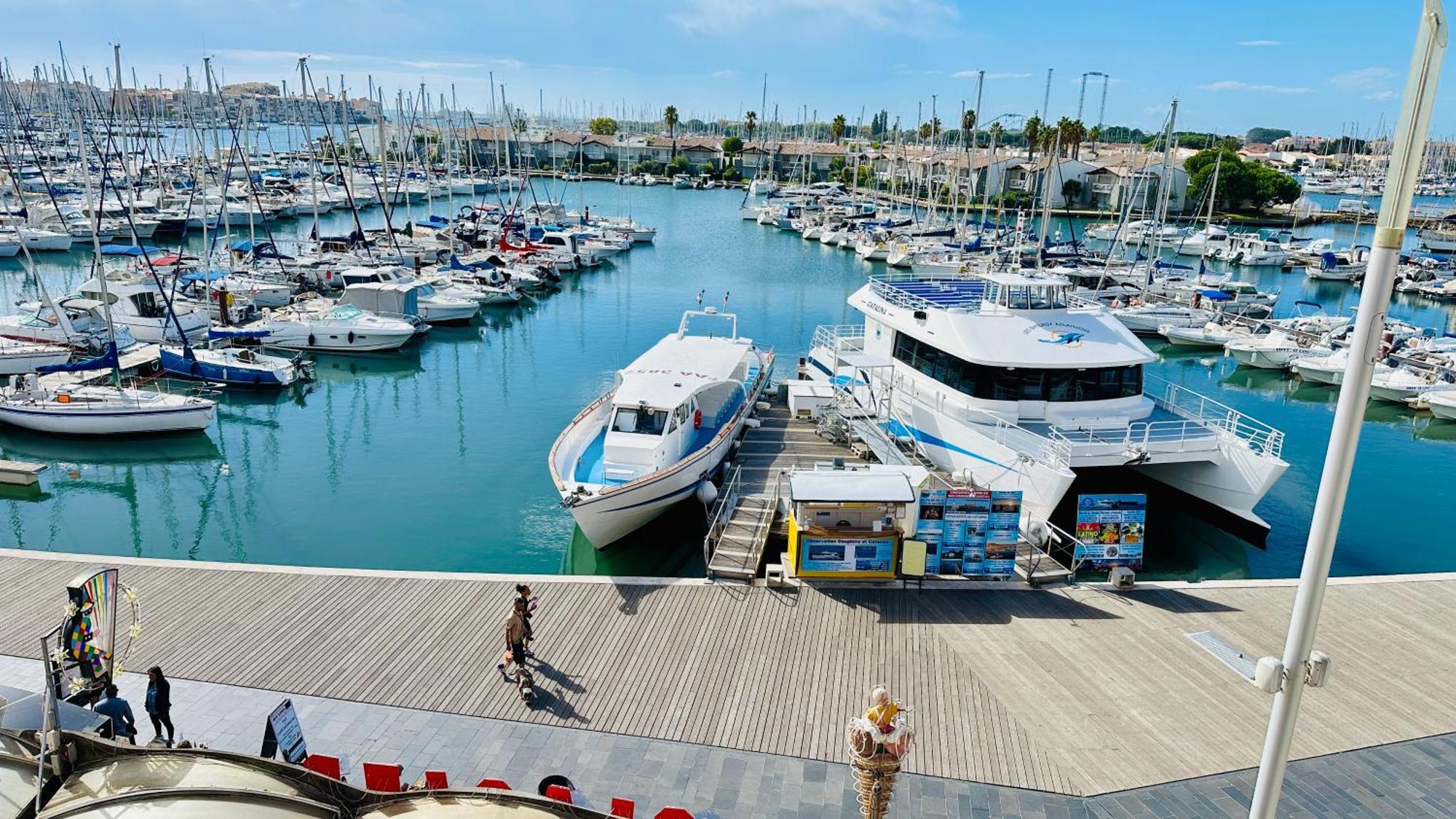 Studio Face Au Port Agde Ngoại thất bức ảnh